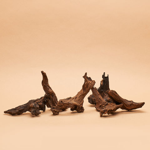 Asian Driftwood- Hand-Selected Pieces