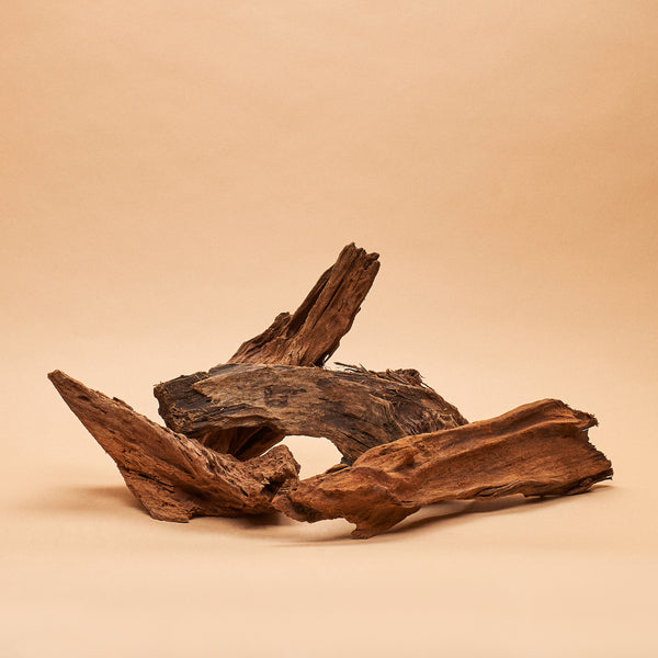 Malaysian Driftwood- Hand-Selected Specimens
