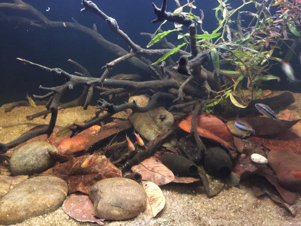 "River Stone" -Individual Hand Selected Pieces