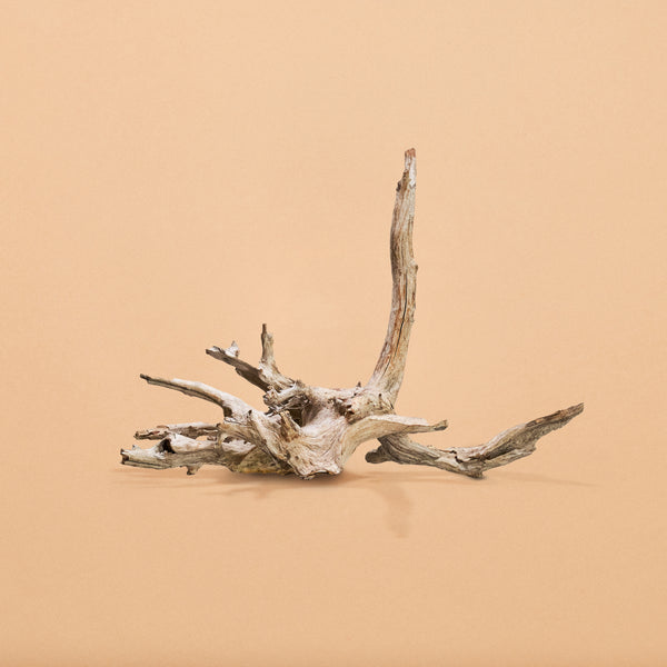 "Weathered Driftwood"-Hand-Selected Specimens