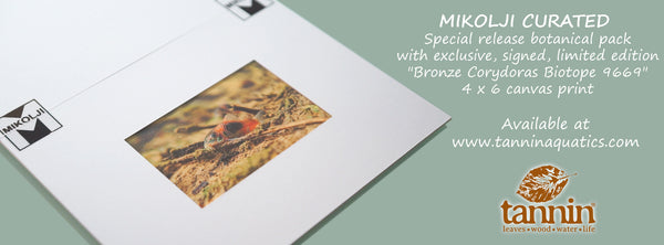 Tannin Special Release "Mikolji Bronze Corydoras Biotope 9669" (Ivan Mikolji-curated Botanical Sampler Pack, and Exclusive Signed Limited Edition Print)
