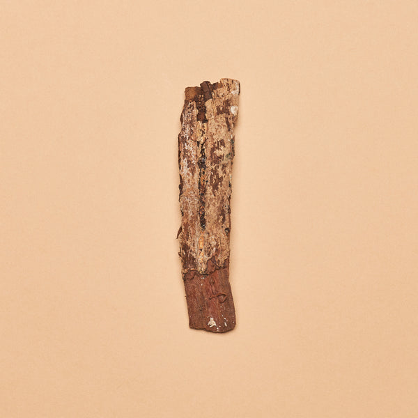 Selatan Catappa Bark Pieces (Package of 4 Pieces)
