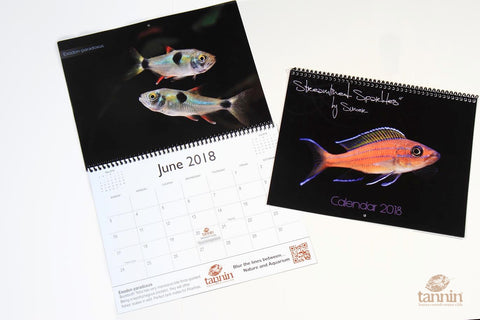 "Streamlined Sparkles" 2018 Calendar by Sumer Tiwari