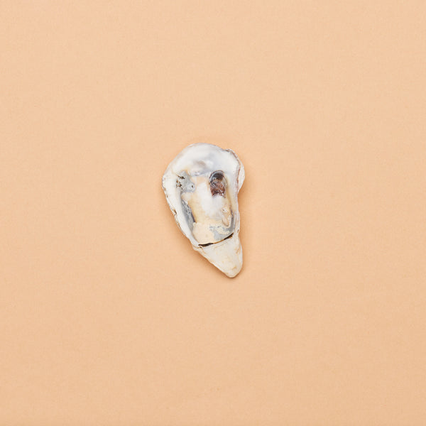 Oyster Shell Halves (Package of 30 pcs.)